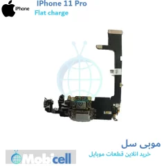 iPhone 11 Pro charging case