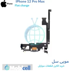 iPhone 12 Pro Max charging case