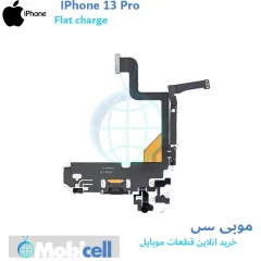 iPhone 13 Pro charging case